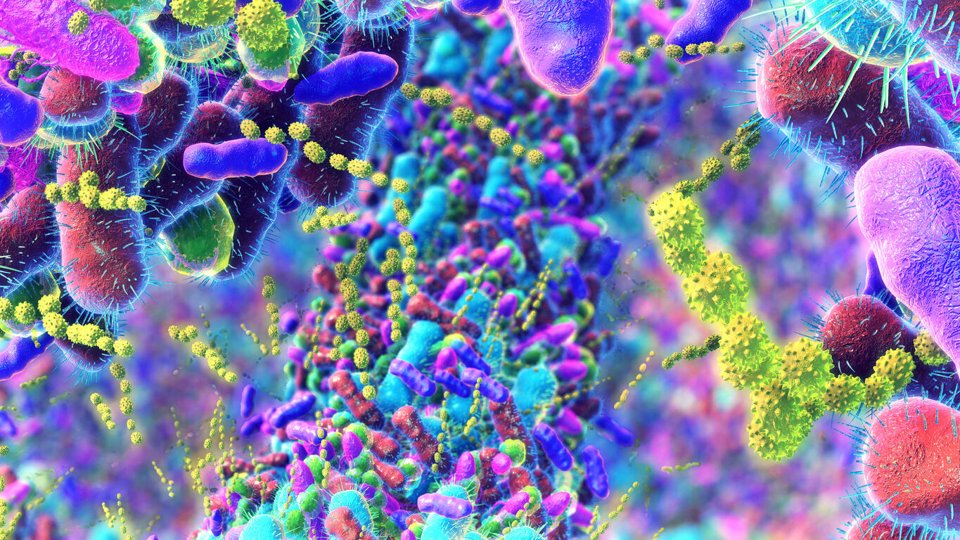 Gut flora and immunity