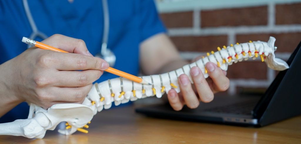 Doctor showing the thoracic spine