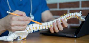 Doctor showing the thoracic spine
